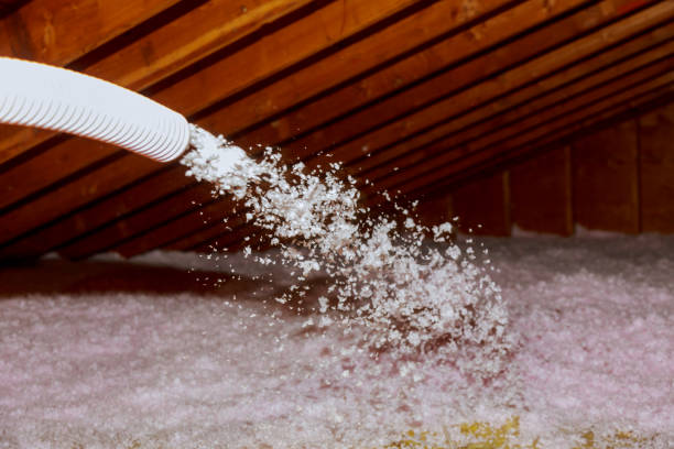 Best Garage Insulation Installation  in Thruston, KY