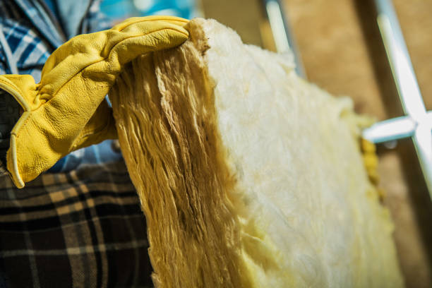 Professional Insulation Contractor in Thruston, KY