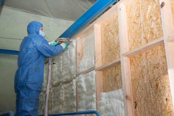 Best Affordable Insulation Services  in Thruston, KY
