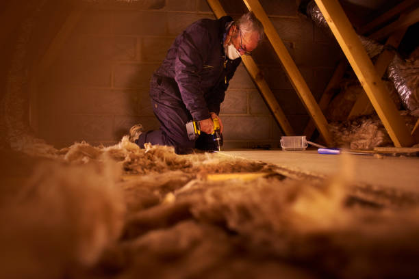 Best Residential Insulation Services  in Thruston, KY