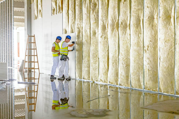 Best Attic Insulation Installation  in Thruston, KY